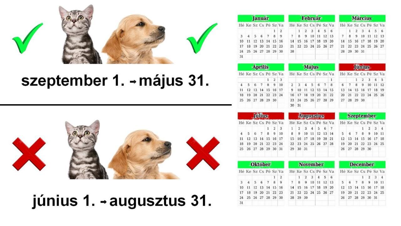 Vadaszles Vendeghaz Bukkszentmarton Exteriér fotografie